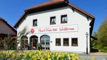 Single waldkirchen